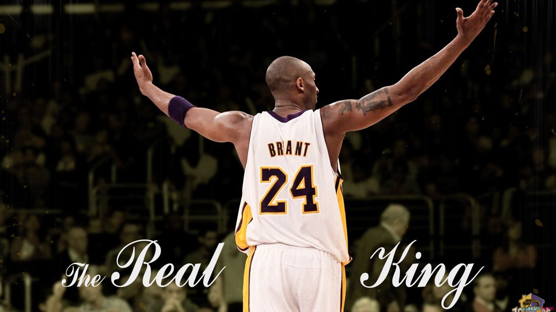 “未来之星”归来：新秀车手的辉煌起步，未来之星是谁